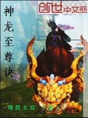 《神龙至尊诀》小说封面