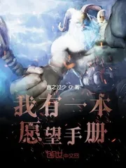 《我有一本愿望手册》小说封面