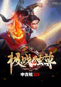 《极战独尊》小说封面