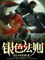 《银色法则》小说封面