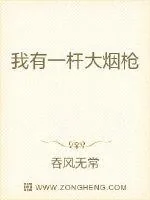 《我有一杆大烟枪》小说封面