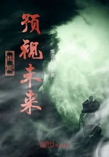 《我能预视未来》小说封面