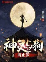 《神灵与狗请止步》小说封面