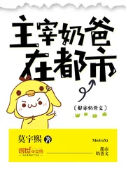 《主宰奶爸在都市》小说封面