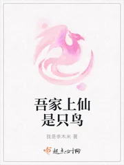 《吾家上仙是只鸟》小说封面