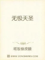 《无极天圣》小说封面