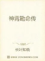 《神霄勘命传》小说封面