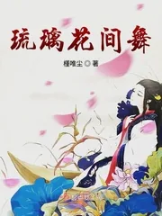 《琉璃花间舞》小说封面