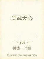 《剑武天心》小说封面