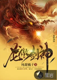 《龙傲剑神》小说封面