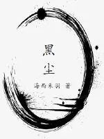 《黑尘》小说封面