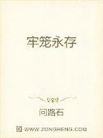 《牢笼永存》小说封面