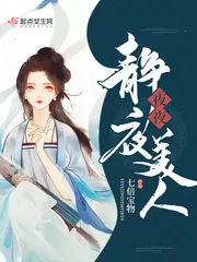 《夜夜静夜美人》小说封面