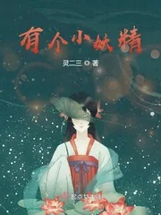 《有个小妖精》小说封面