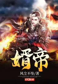 《婿帝》小说封面