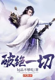 《破绝一切》小说封面