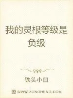 《我的灵根等级是负级》小说封面