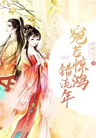 《宛若惊鸿错流年》小说封面