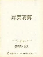 《异度清算》小说封面