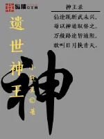 《遗世神王》小说封面