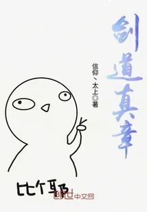 《剑道真章》小说封面