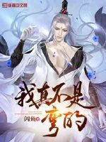 《我真不是弯的》小说封面