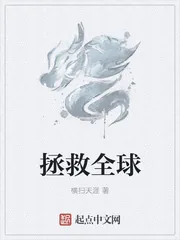《拯救全球》小说封面