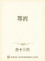 《荨岩》小说封面