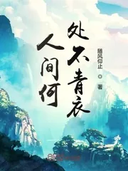 《人间何处不青衣》小说封面