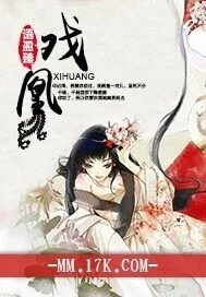 《戏凰》小说封面