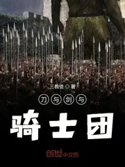 《刀与剑与骑士团》小说封面
