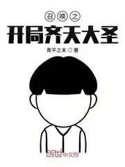 《召唤之开局齐天大圣》小说封面