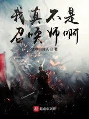 《我真不是召唤师啊》小说封面