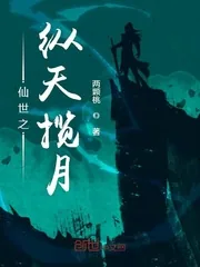 《仙世之纵天揽月》小说封面