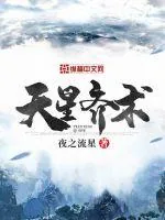 《天星齐术》小说封面