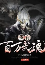 《我有百万武魂》小说封面