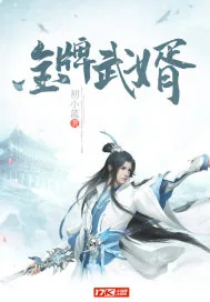 《金牌武婿》小说封面