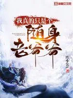 《我真的只是个随身老爷爷》小说封面