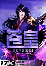 《苍皇》小说封面