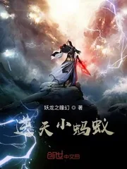 《逆天小蚂蚁》小说封面