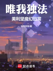 《唯我独法：美利坚魔幻日常》小说封面