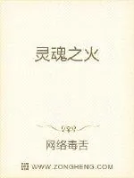 《灵魂之火》小说封面