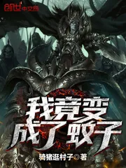 《我竟变成了蚊子》小说封面
