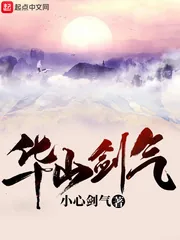《华山剑气》小说封面