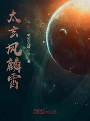 《太玄凤麟霄》小说封面