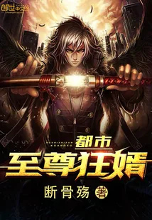 《都市至尊狂婿》小说封面