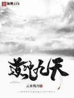 《道冲九天》小说封面
