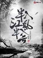 《半入江风半入云》小说封面