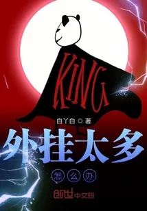 《外挂太多怎么办》小说封面