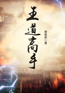 《王道高手》小说封面